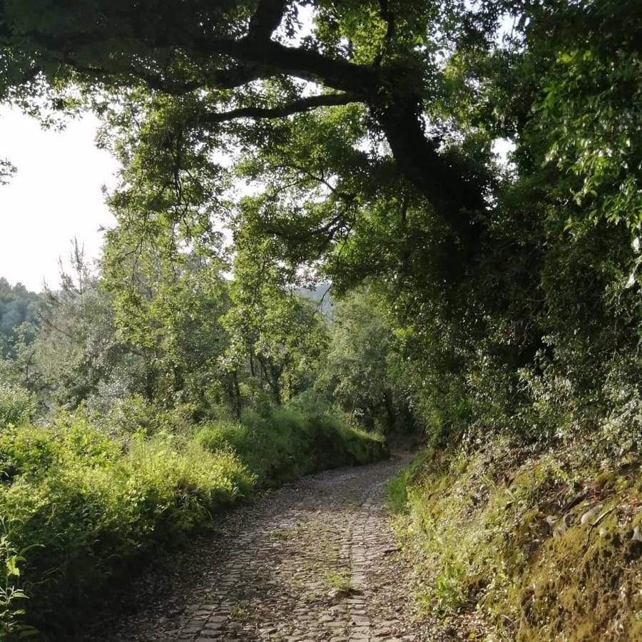 Pateo Das Rizas Eiras Bagian luar foto